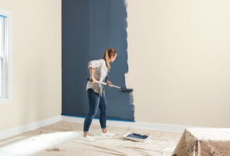 Paint and Primer in One