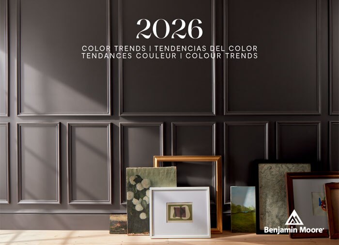 Front cover of Colour Trends 2026 colour brochure
